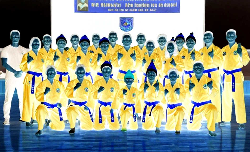 Four Empty Columns in Vietnamese Combat Sports Records